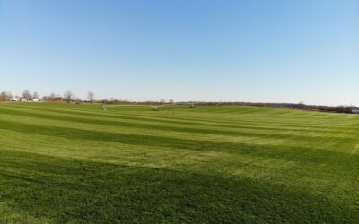 Sod vs. Grass Seed: Which is right for you? 